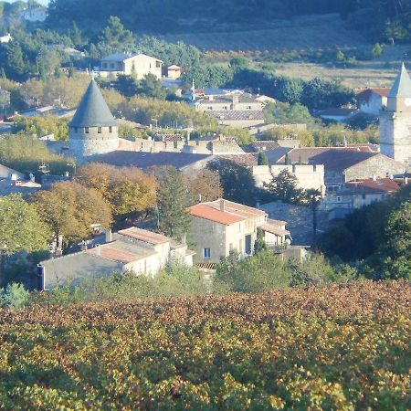 Gite Le Musee Villeneuve-Minervois エクステリア 写真